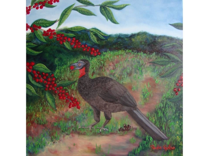 0103 Café para quem sabe ...comer