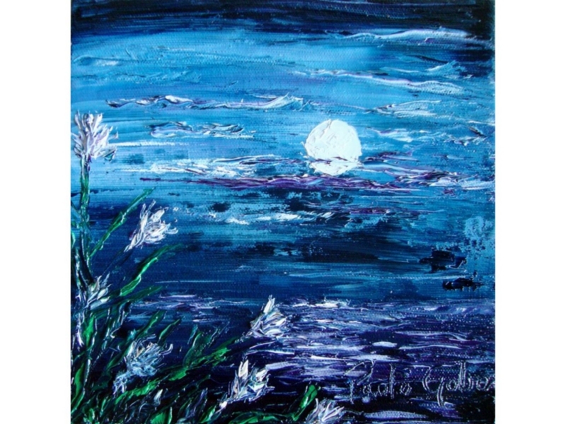 0164 Luzeiro noturno